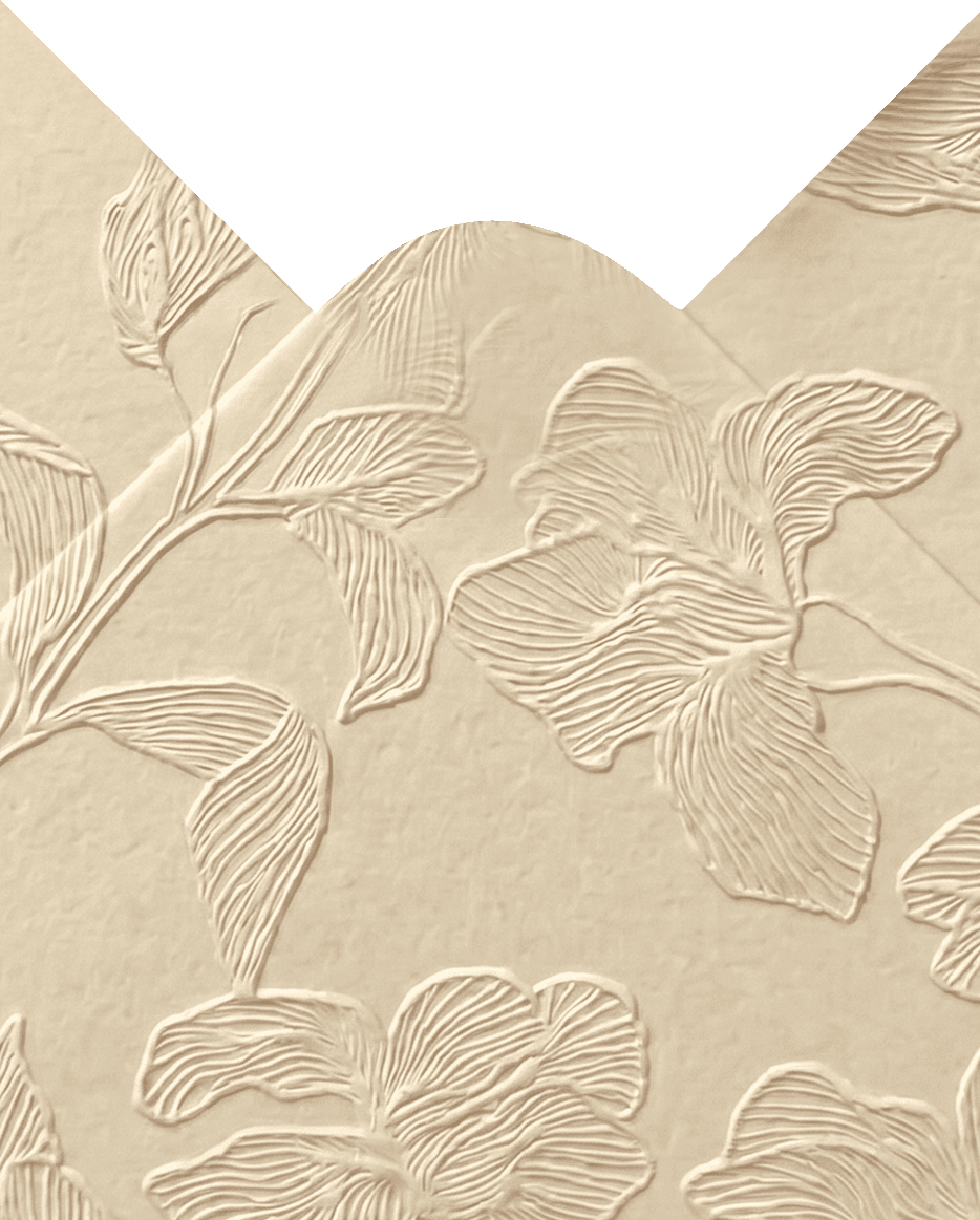 Top Envelop Flap
